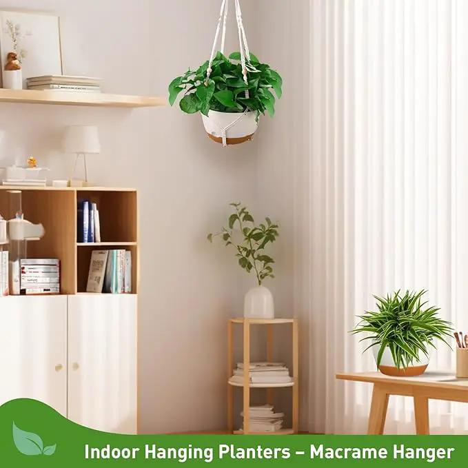 10 Inch Hanging Planters for Indoor & Outdoor Use (2 Pack) - Self-Watering & Drainage Flower Pots with Chain & Macrame Hangers (White, 10 in) by GreenHaven Gardens