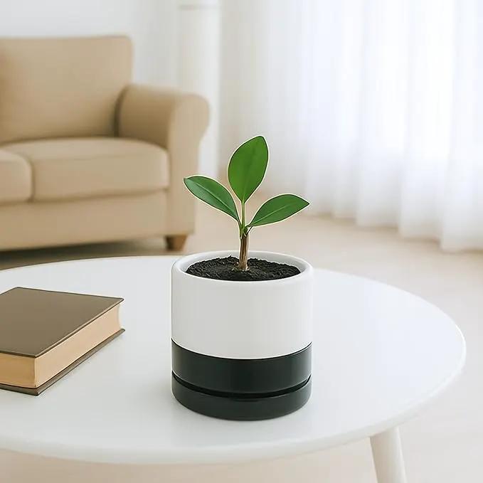 D'vine Dev 4.6 Inch Ceramic Planter Pot with Drainage Hole and Saucer, Indoor Cylinder Round Planter Pot, Layered Monochrome Black & White, 94-O-B-L by GreenHaven Gardens