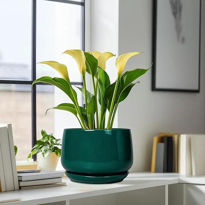 G EPGardening Ceramic Pots for Plants - 9 Inch Ceramic Planter for Indoor Plants, Round Planter with Drainage and Saucer, Modern Flower Pots for Outdoor, House Decor, Garden Gifts, Green by GreenHaven Gardens