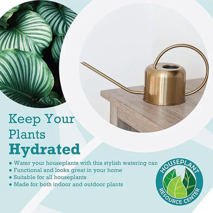 Stainless Steel Watering Can for Houseplants by Houseplant Resource Center | 1L Capacity for Indoor/Outdoor Plants in Brushed Gold by GreenHaven Gardens