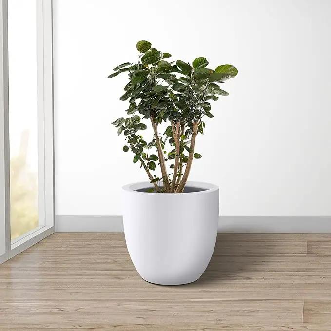 Kante 14 Inch Dia Round Concrete Planter, Indoor Outdoor Large Plant Pot with Drainage Hole and Rubber Plug for Home Patio Garden, Pure White by GreenHaven Gardens