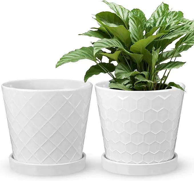 EFISPSS Ceramic Plant Pots, 6 Inch Pots for Indoor Plants, Planters with Drainage Hole and Saucer, Flower Pots Desktop Office Windowsill Decoration Gift Set of 2 - White by GreenHaven Gardens