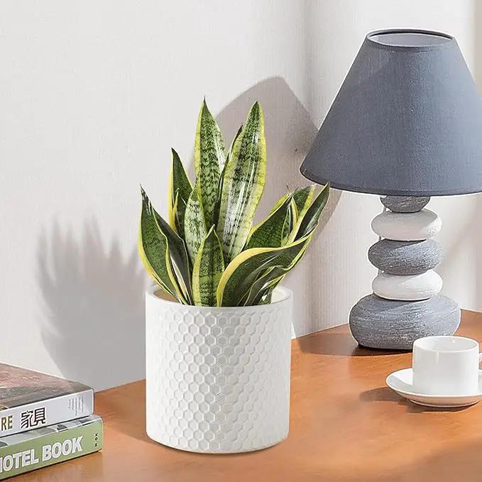 Docrin Ceramic Planters Indoor, 8 Inch Plant Pot with Drainage Holes for Home/Office - White Honeycomb by GreenHaven Gardens