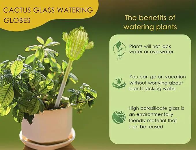 Ahhute Self Watering Globes Cactus Shape, Glass Plant Watering Globes, Self Watering Planter Insert, Cacti Plant Watering Devices, Automatic Plant Waterer Indoor, Watering Bulbs, 3 Pack by GreenHaven Gardens
