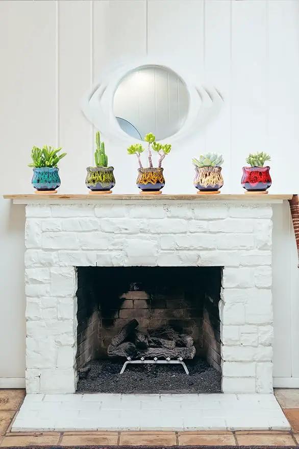 Cute Ceramic Succulent Garden Pots, Planter with Drainage and Attached Saucer, Set of 5 - Plants Not Included (Fambe) by GreenHaven Gardens