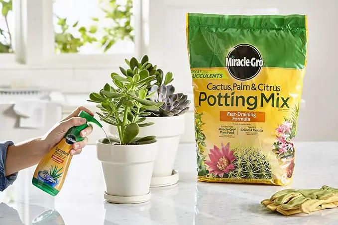 Miracle-Gro Cactus, Palm & Citrus Potting Mix and Succulent Plant Food - Bundle of Potting Soil (8 qt.) and Liquid Plant Food (8 oz.) for Growing and Fertilizing Indoor Succulents by GreenHaven Gardens