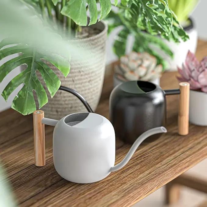Green Moon Water Can Indoor Plant White 1.2L/41oz with Long Spout Small Water Can Metal Watering Can Pot for Indoor House Plant Bonsai Outdoor Garden Flowers Decorative by GreenHaven Gardens