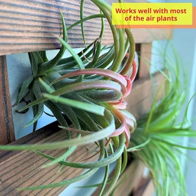 ShopLaLa Wall Planter – Wooden Air Plant Succulent Holder Hanger Indoor Outdoor, Live Orchid Wall Wood Display Frame Vertical Garden Balcony Deck Bathroom Macetas Para Plantas De Aire 15.7" (40cm) by GreenHaven Gardens