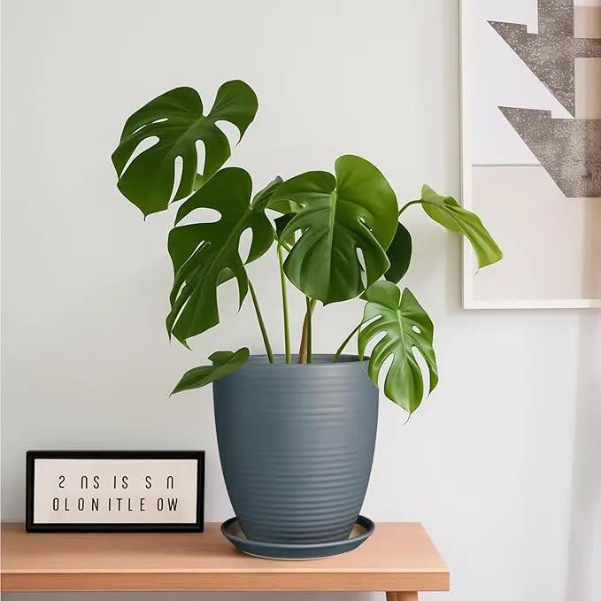 8 Inch Ceramic Plant Pot Large Planter Pot for Plants Indoor Outdoor Glaze Flower Pot with Drainage Hole and Saucer Gray by GreenHaven Gardens