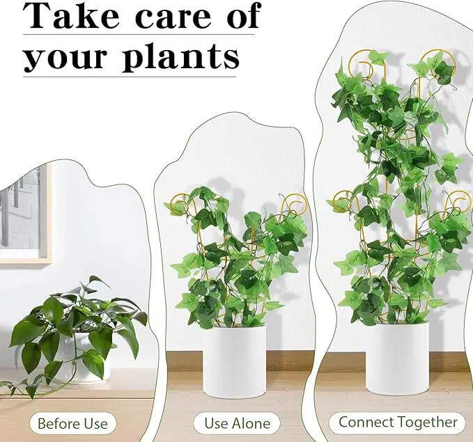 ZOUTOG Trellis for Climbing Plants Indoor 30 Inch, Houseplant Trellis for Potted Plants Metal 4Pcs for Vine Ivy Flower Support,Round Shape,Golden by GreenHaven Gardens