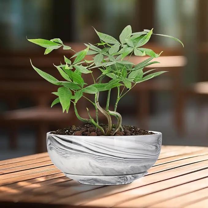 G EPGardening 8in Marble Pattern Large Round Succulent Planter Pot Modern Flower Pot Indoor and Outdoor Planter with Marble Tray by GreenHaven Gardens
