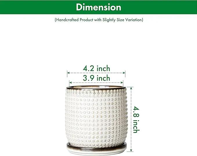 D'vine Dev Set of 2 Ceramic Plants Pots, 4 Inch Beaded Stoneware Flower Pot for Plants with Drainage Hole and Saucer, Smoked White, 27-E-Z-1 by GreenHaven Gardens