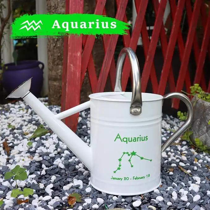 Metal Watering Can for Outdoor and Indoor Plants, Watering Can Decor, 1 Gallon (Aquarius) by GreenHaven Gardens