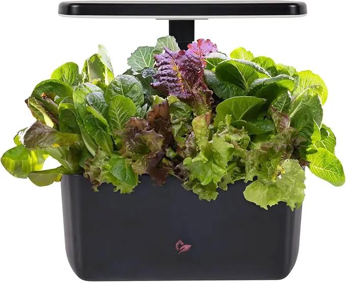 AeroGarden Harvest 2.0, Indoor Garden Hydroponic System with LED Grow Light, Holds up to 6 AeroGarden Pods, Black by GreenHaven Gardens