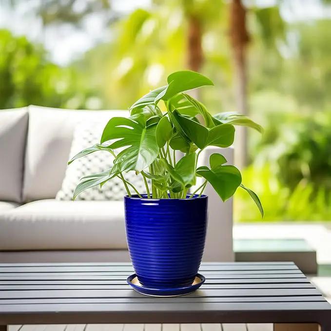 Ceramic Planter Pot - 8 Inch Plant Pot with Drainage Hole and Tray Round Planter Modern Flower Pot for Indoor Outdoor Plants Decorative Garden Pot Blue by GreenHaven Gardens