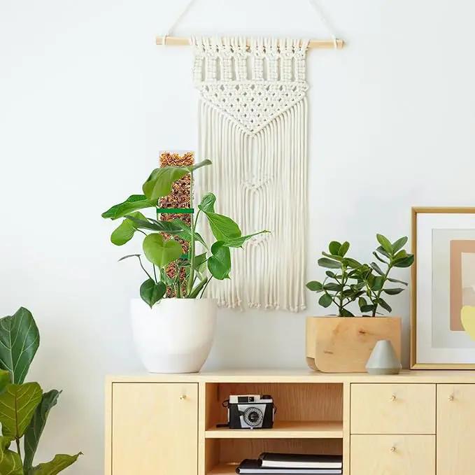 15 Inch 8 Pcs Plastic Moss Pole for Plants Monstera, 8×15'' Plant Poles for Climbing Plants, Plant Support for Indoor Plants Work with Sphagnum Moss, Clear by GreenHaven Gardens