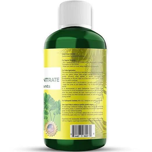 Organic Premium Seaweed Fertilizer - Liquid Kelp Plant Food for Aroid Houseplants: Monstera, Philodendron, Pothos, ZZ Plant, Dieffenbachia, Alocasia, Caladium (32 OZ) by GreenHaven Gardens