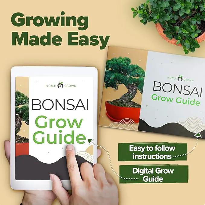 Bonsai Tree Kit - Gifts for Men & Women (Master Kit) by GreenHaven Gardens
