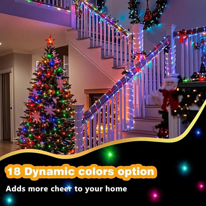 RGBW LED Rope Lights Outdoor with USB Powered, 33Ft 100 LED String Lights Indoor with Remote, 20 Color Changing Fairy Lights for Outside Garden Party Wedding Christmas by GreenHaven Gardens