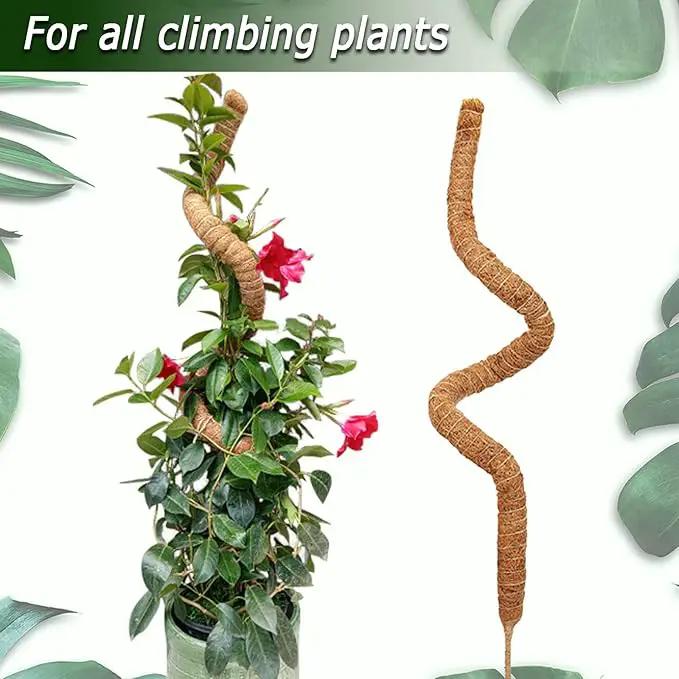 48 Inch Moss Pole, Bendable Moss Pole for Plants Monstera, Tall Moss Poles for Climbing Plants Indoor, Large Moss Pole Support, Garden Trellis Plant Stick Stakes for Potted Plants, Pothos by GreenHaven Gardens