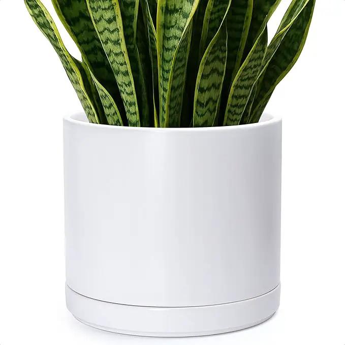 D'vine Dev 14 Inch Ceramic Planter Pot with Drainage Hole and Saucer, Indoor Cylinder Round Planter Pot, White, 94-O-G-1 by GreenHaven Gardens