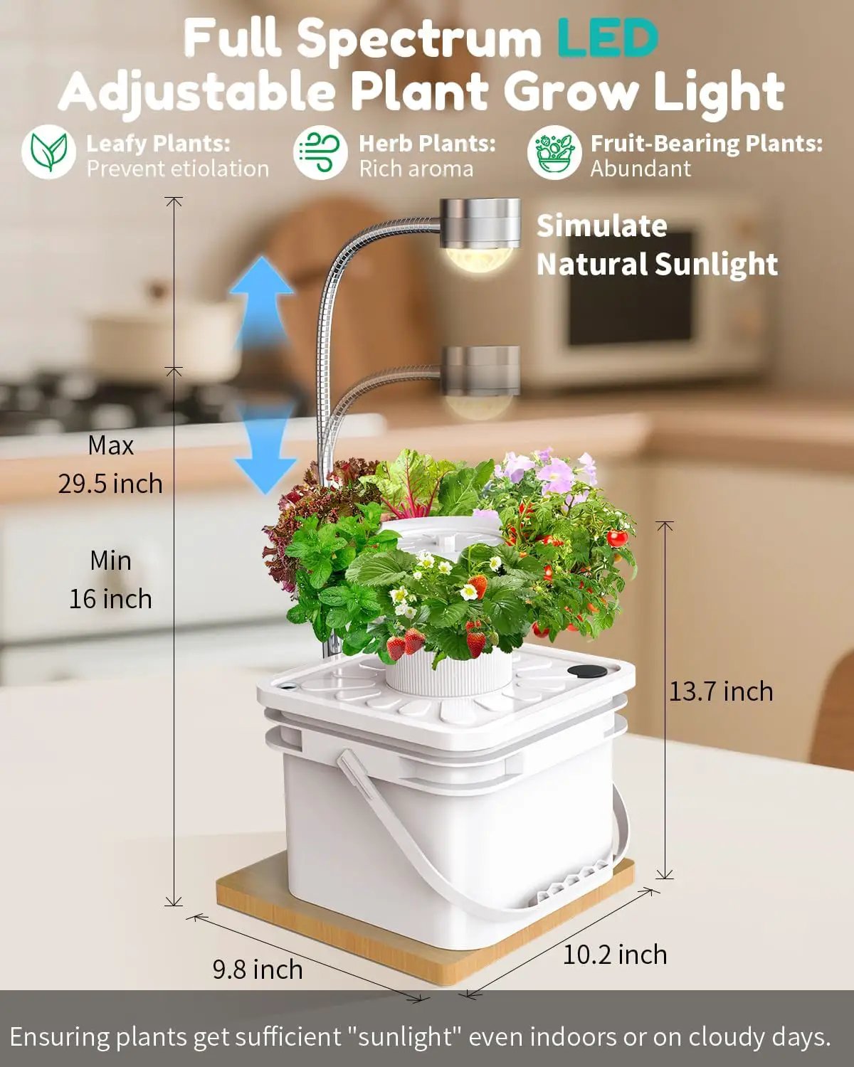 Indoor Herb Garden Growing System Kit, 6 Pods Hydroponics System with LED Grow Light, Hydroponic Planter for Home Kitchen Windowsill, White by GreenHaven Gardens