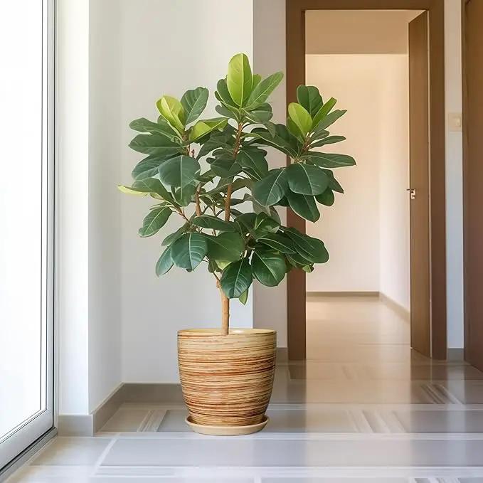 12 Inch Planter Pot Ceramic Plant Pots for Plants with Drainage Hole and Saucer Large Flower Pot for Home Patio Garden Office Yellow by GreenHaven Gardens