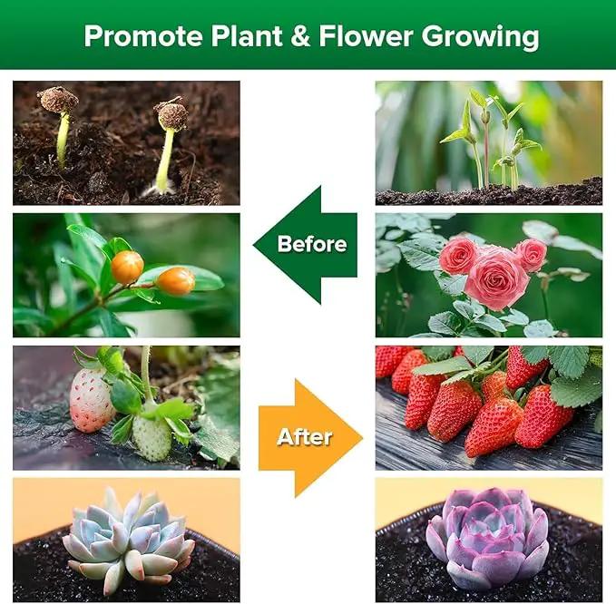 SANSI LED Grow Lights for Indoor Plants, Lifetime Free Bulb Replacement, 600W Full Spectrum 4-Gooseneck Clip Plant Grow Light, Plant Light with Timer 4/8/12 Hrs, High PPFD Growing Power Grow Lamp by GreenHaven Gardens