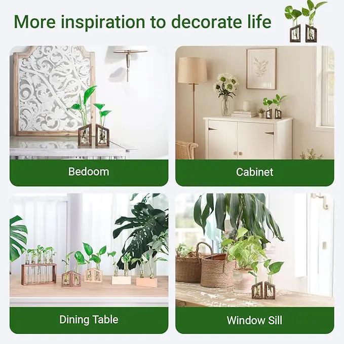 Ivolador Test Tube Propagation Stations Pothos Planter Terrarium Container Perfect for Propagating Hydroponic Plants Home Office Garden Decor Wedding -2 PCS by GreenHaven Gardens
