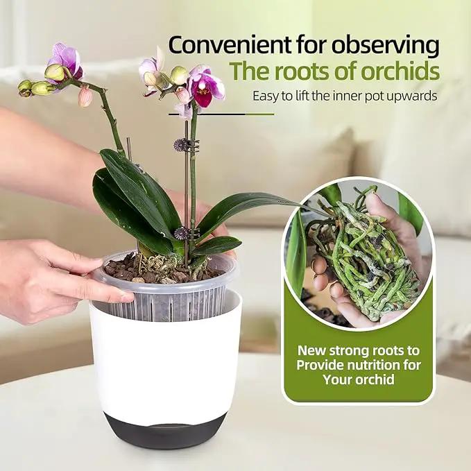 QCQHDU 2 Pack Orchid Pots with Holes for Repotting, Double-Layer and Self Watering Orchid Pot with Good Air Circulation by GreenHaven Gardens