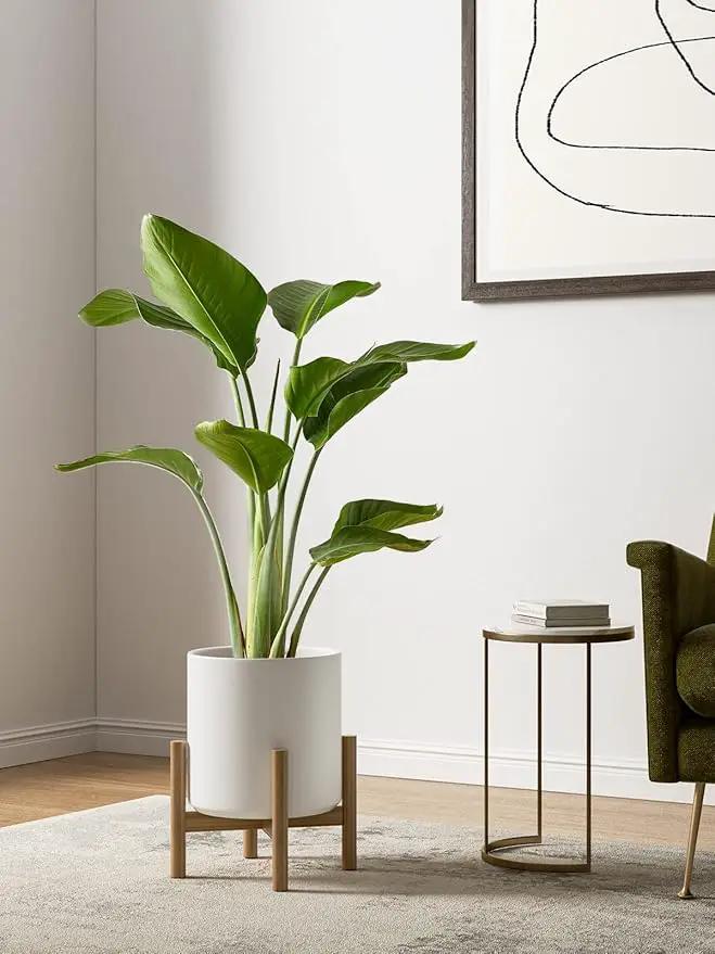 LE TAUCI Ceramic Plant Pots Indoor, 10 Inch 8 Inch 6 Inch Planters for Indoor Plants, Mid-Century Modern Flower Pots with Drainage Hole and Plug, Cylinder Round Planter Pots, Set of 3, White by GreenHaven Gardens