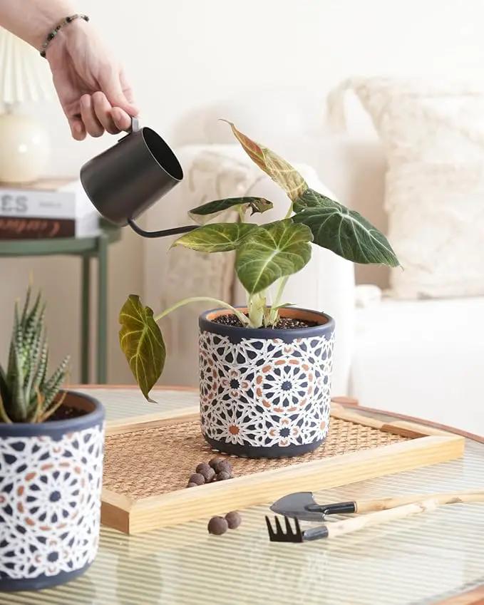 2 Pack Ceramic Flower Pots for Indoor Plants, 5 Inch Boho Plant Pot with Drainage Holes,Modern Planter for Decorative Succulents/Snake Plant/Orchid/Peace Lily/House Plants(Blue) by GreenHaven Gardens