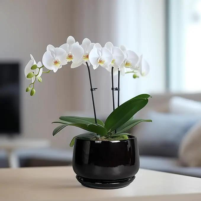 G EPGardening 6 Inch Planter - Ceramic Pot for Plants, Ceramic Planter with Drainage and Saucer, Round Flower Pot Indoor Outdoor, Modern Room Decor, Home Gifts, Black by GreenHaven Gardens