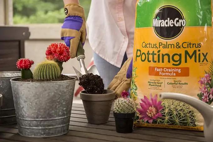 Miracle-Gro Cactus, Palm & Citrus Potting Mix, 8 qt. (3-Pack) by GreenHaven Gardens