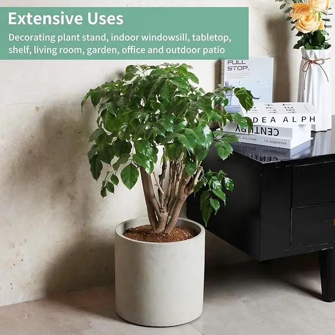 Mozing Cement Plant Pots Indoor - 10 inch Concrete Planter Pot for Planting - Modern Stone Clay Flower Pot with Drainage Hole for Garden, Home, Office Decor, Grey by GreenHaven Gardens