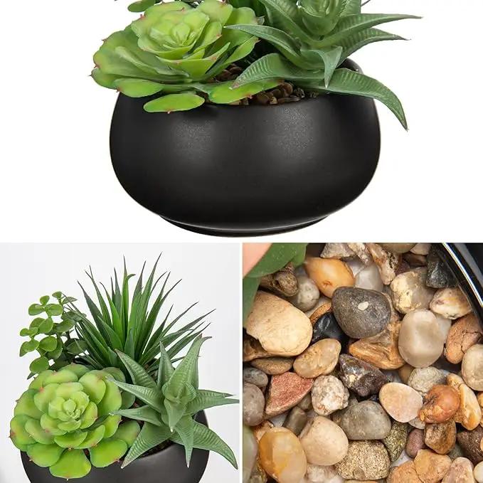 Fake Plants Artificial Succulents in Pots Faux Succulent Arrangement Potted Plant with Black Ceramic Pot for Home Decor Modern Office Desk Bathroom Shelf Living Room Indoor & Outdoor Decoration by GreenHaven Gardens