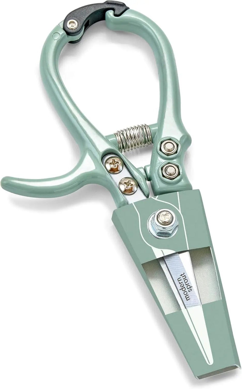 Modern Sprout Pruning Shears - Herb Snipping Scissors- Lightweight Gardening Tools W/Easy Lock - Flower Cutter Garden Shears - Carbon Steel Blade + Reusable Holster (Sage, 1-Pack) by GreenHaven Gardens