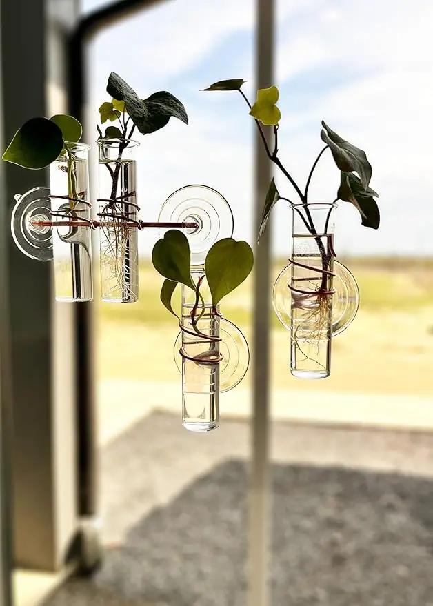 The Little Window Propagator- Window Plant Propagation Station with Removable Glass Test Tubes, Indoor Clippings, Cut Flowers, Herbs, Succulents | Home Decor | Plant Lover Gift by GreenHaven Gardens