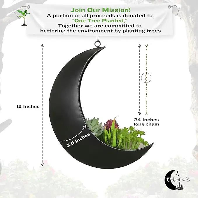 Hanging Moon Planter for Moon Room Decor - Great for Succulents, Air Plant, Mini Cactus, Faux, Artificial Plants-Boho Hanging Planters for Indoor Plants, Witchy Gifts for Women, Birthdays,Plant Lovers by GreenHaven Gardens
