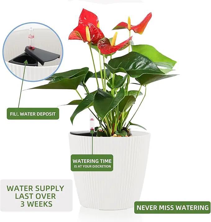 Dexceder 9x8 Self Watering Planters Indoor, Inner Mat Design, Table Flower Plant Pot with Water Level Indicator (2 Pack, White) by GreenHaven Gardens