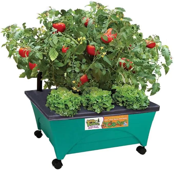 Emsco Group 2360 Little Pickers Raised Bed Children’s Improved Aeration – Mobile Unit with Casters – Teaches Kids Self Watering Grow Box, Teal by GreenHaven Gardens