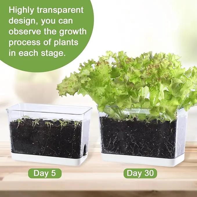 Self Watering Planter, 2 Pack African Violet Pots, Rectangular Self-Watering Clear Planters Box for Devil's Ivy, Spider Plants, Orchid. Flower Planting and Small Vegetables for Home Office by GreenHaven Gardens