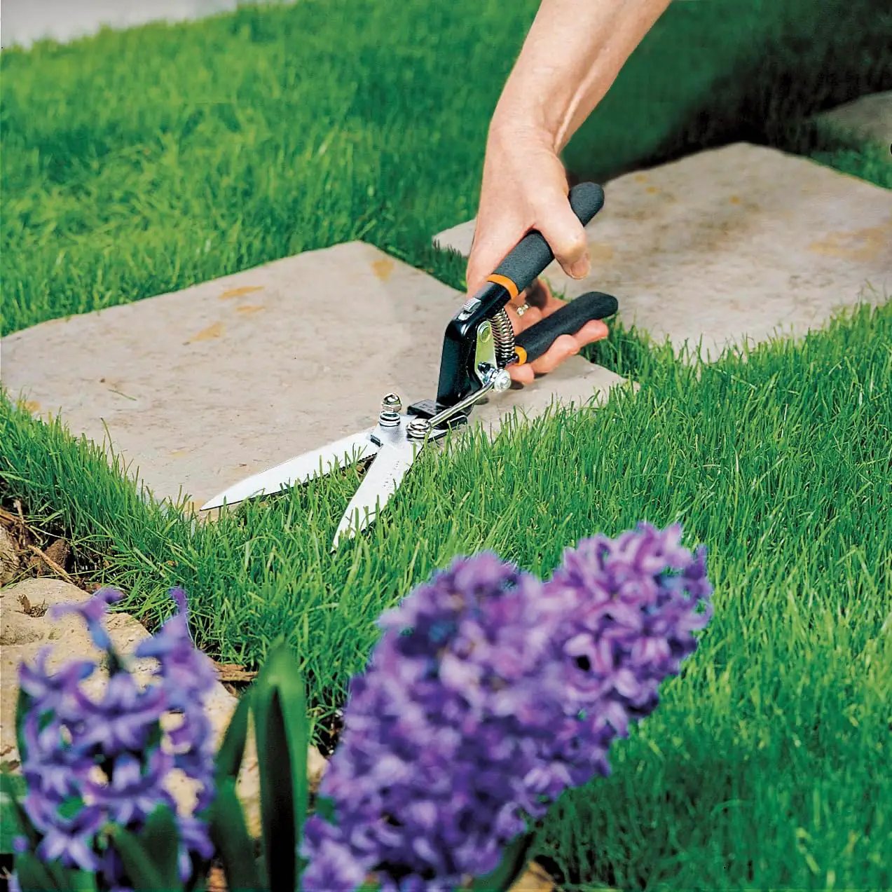 Fiskars Grass Shears, 5-Inch Serrated Blade Grass Cutter and Garden Shears with Power-Lever Technology Offers More Cutting Power by GreenHaven Gardens