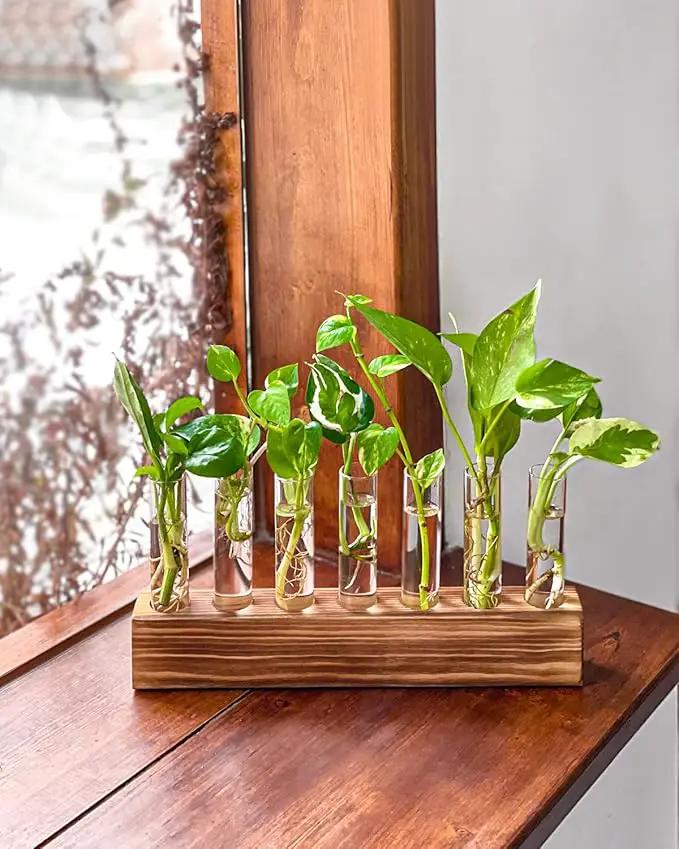 KAXYEW Plant Terrarium with Wooden Stand, Plant Propagation Tubes, 7 Test Tubes Glass Planter for Hydroponic Plant Cuttings Home Office Décor by GreenHaven Gardens