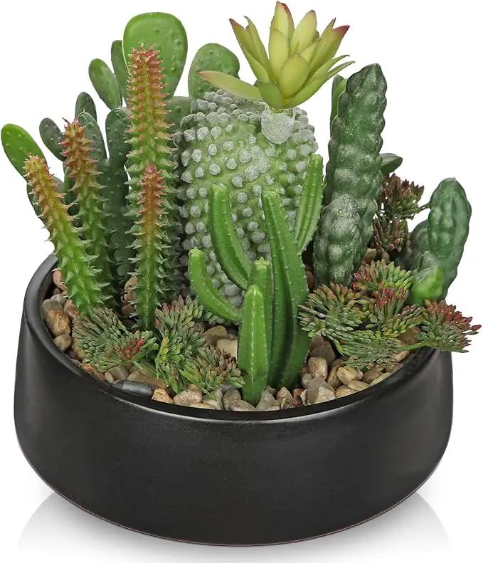 DILATATA Artificial Cactus Plants in Pot 5.5 Inch Fake Succulents Arrangement Potted Plant in Black Ceramic Planter Bowl for Home Office Desk Shelf Living Room Bedroom Bathroom Decor by GreenHaven Gardens