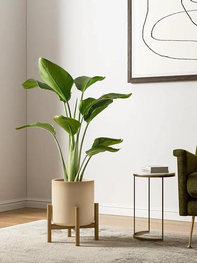 LE TAUCI Large Plant Pots Set, 10/8/6 Inch Ceramic Planters for Indoor Plants, Mid-Century Modern Planter Pots with Drainage Hole and Plug, Round Planter Pots, Set of 3, Reactive Glaze Cloud Cream by GreenHaven Gardens