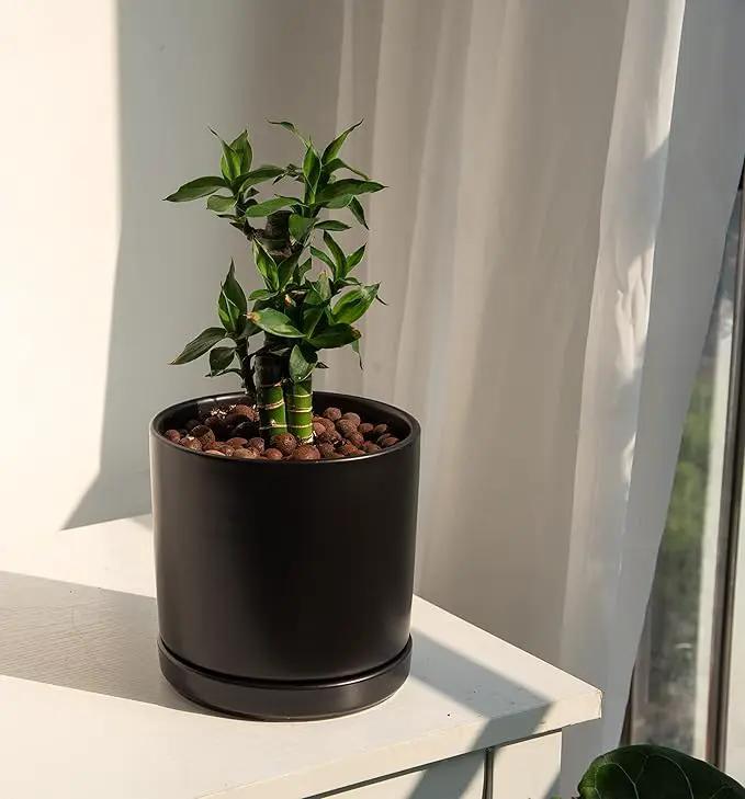 D'vine Dev 6 Inch Ceramic Planter Pot with Drainage Hole and Saucer, Indoor Cylinder Round Flower Pot, Black, 94-O-C-2 by GreenHaven Gardens