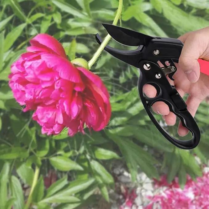 Garden Clippers, Premium Germany Pruners, Work 3 Times Easier, Professional Pruning Shears, Cutting Rose, Flower, Hedge, Stem, Sharp Scissors Gardening Tools, Arthritis Weak Hand Snips by GreenHaven Gardens