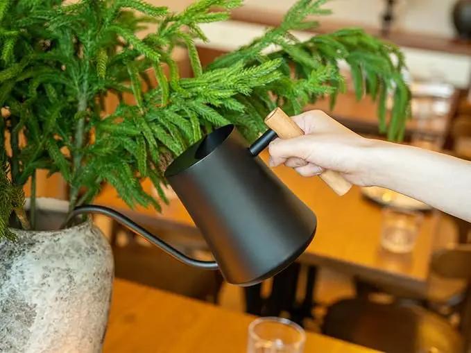 Green Moon Water Can Indoor Plant Black 35oz with Long Spout Mini Water Can Indoor Metal Watering Can Pot for Indoor House Plant Bonsai Outdoor Garden Flowers Modern Decorative by GreenHaven Gardens