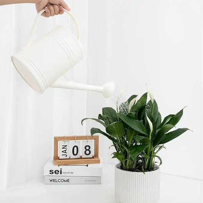 Plastic Indoor Watering Can with Sprinkler Head - 68 oz, 1/2 Gallon by GreenHaven Gardens